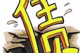 庆元工资清欠服务